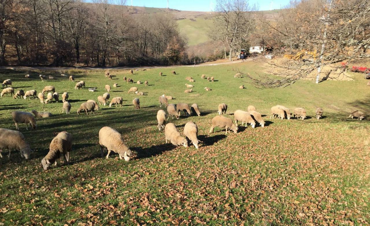 La Dimora Dei Cavalieri Vaglio di Basilicata